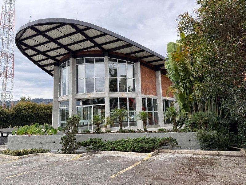Local - RIONEGRO