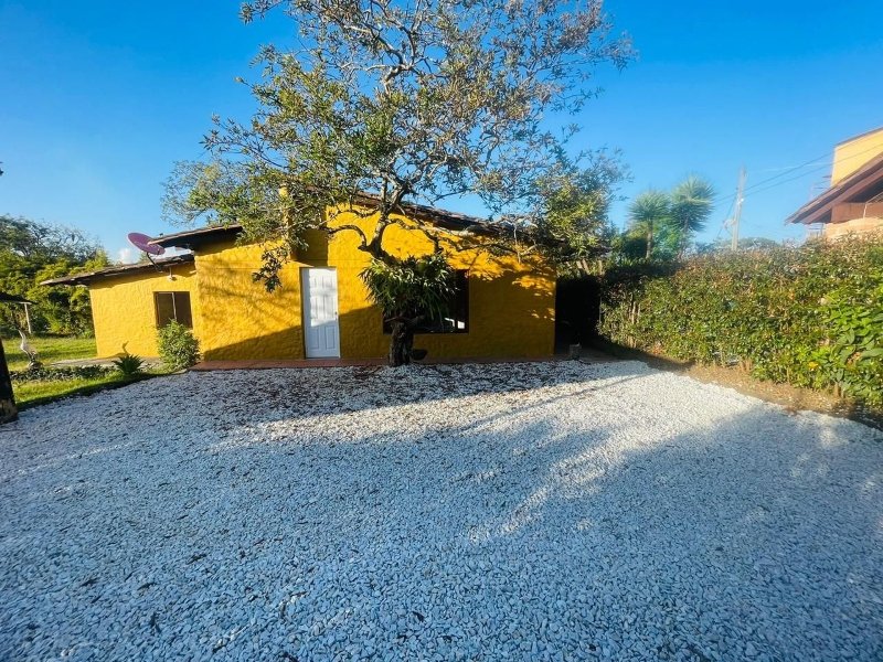 Finca - EL CARMEN DE VIBORAL