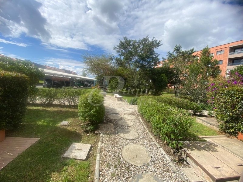 Apartaestudio - LA CEJA