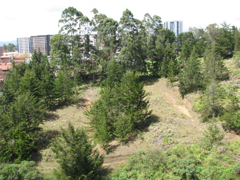 Apartamento - RIONEGRO