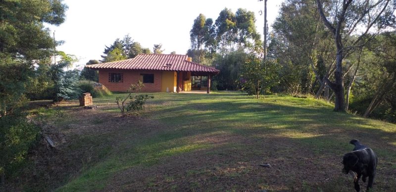 Finca - RIONEGRO