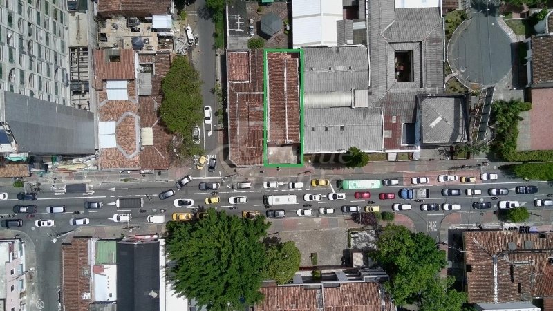 Local - Medellín