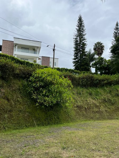 Terreno