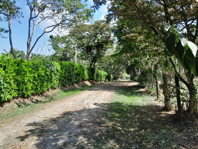 Terreno