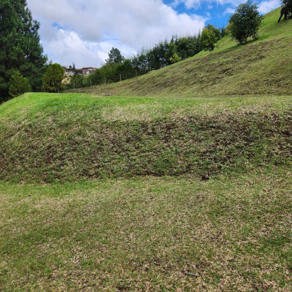 Terreno