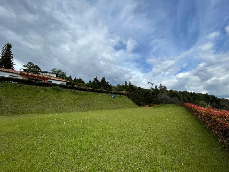 Terreno