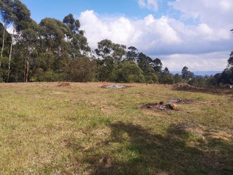 Terreno