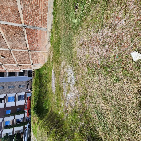 Terreno