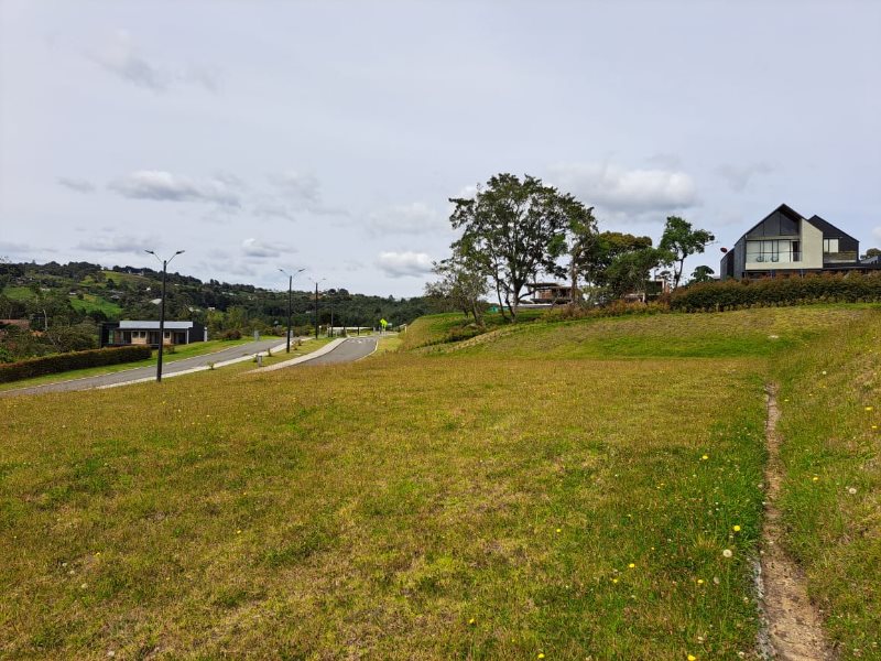 Terreno