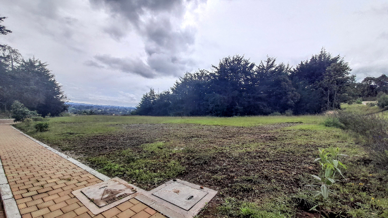 Terreno