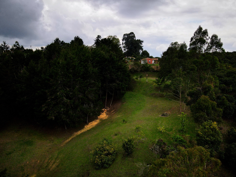 Terreno