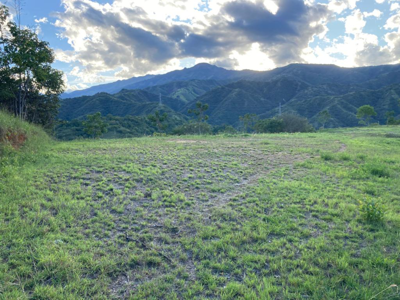 Terreno