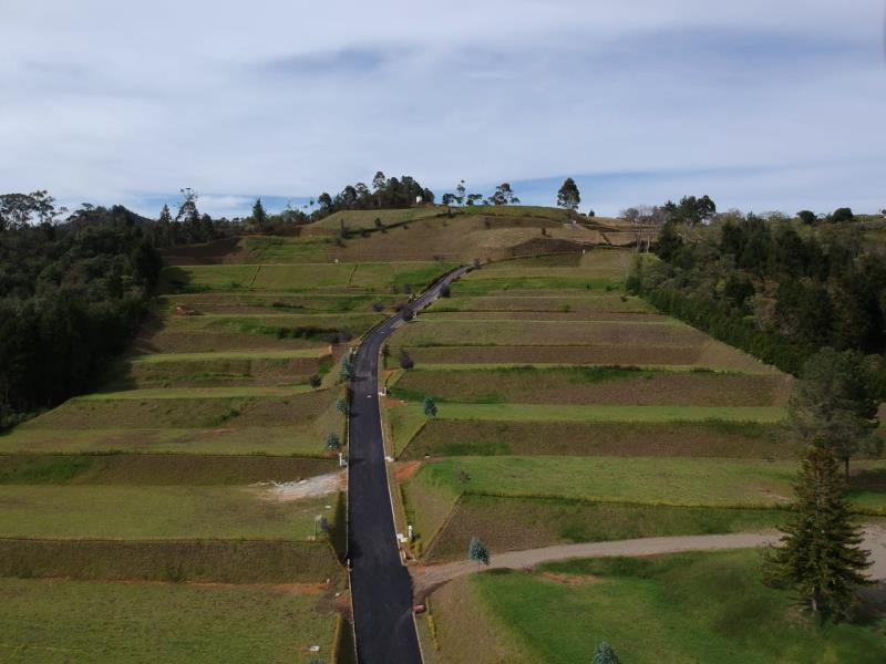 Terreno