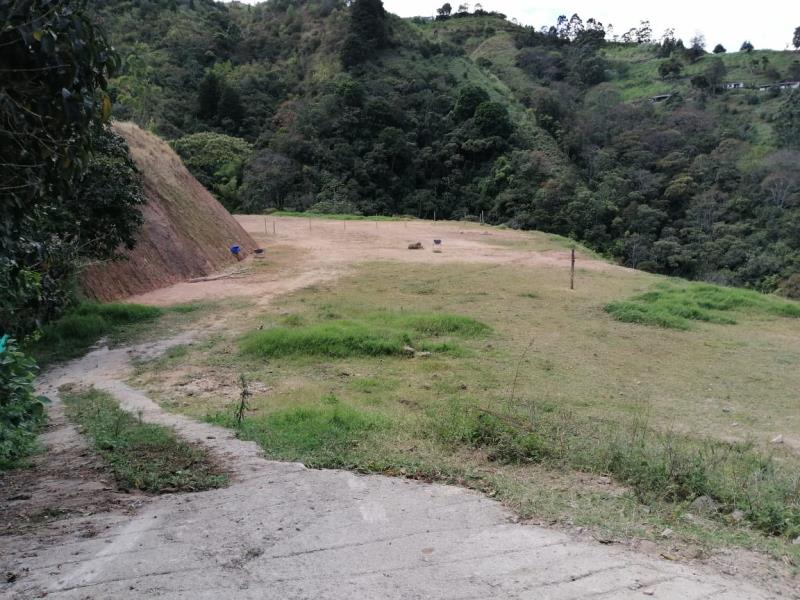 Terreno